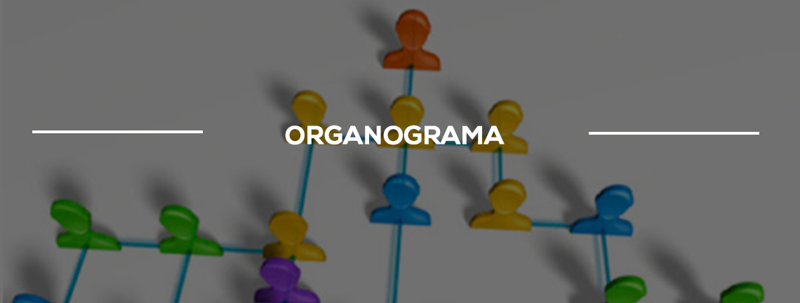 Organograma